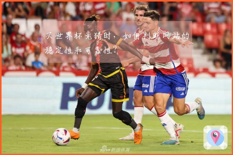 买世界杯竞猜时,如何判断网站的稳定性和可靠性?
