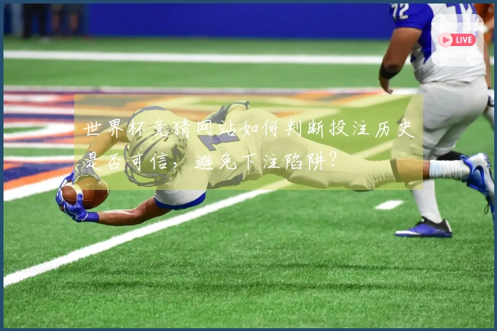 世界杯竞猜网站如何判断投注历史是否可信，避免下注陷阱？
