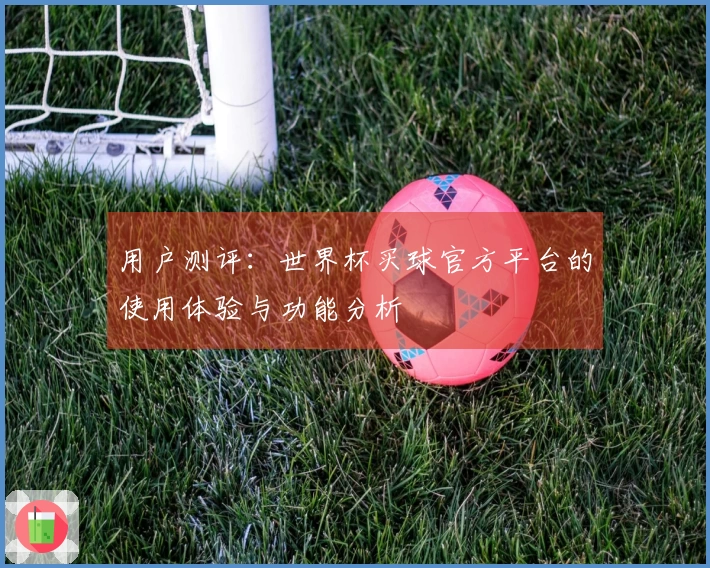 用户测评：世界杯买球官方平台的使用体验与功能分析