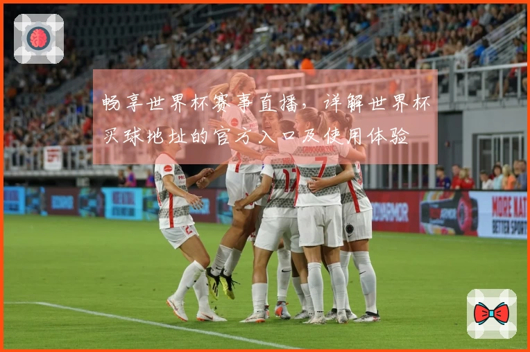 畅享世界杯赛事直播，详解世界杯买球地址的官方入口及使用体验