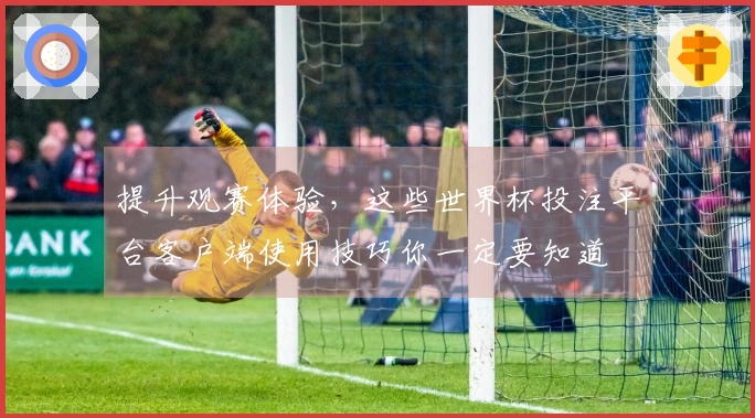 提升观赛体验，这些世界杯投注平台客户端使用技巧你一定要知道