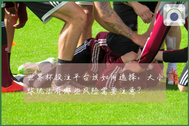 世界杯投注平台该如何选择，大小球玩法有哪些风险需要注意？