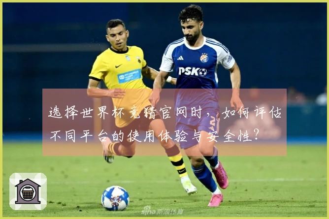 选择世界杯竞猜官网时，如何评估不同平台的使用体验与安全性？
