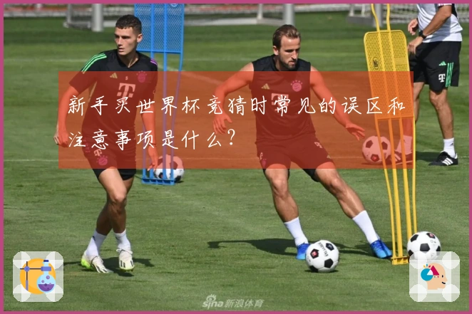 新手买世界杯竞猜时常见的误区和注意事项是什么？