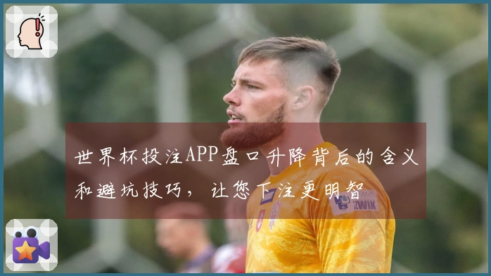 世界杯投注APP盘口升降背后的含义和避坑技巧，让您下注更明智