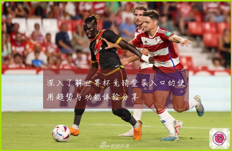 深入了解世界杯竞猜登录入口的使用趋势与功能体验分享