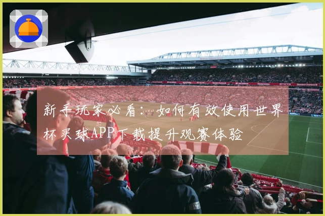新手玩家必看：如何有效使用世界杯买球APP下载提升观赛体验
