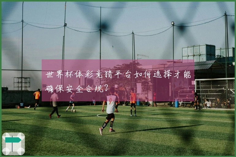 世界杯体彩竞猜平台如何选择才能确保安全合规？