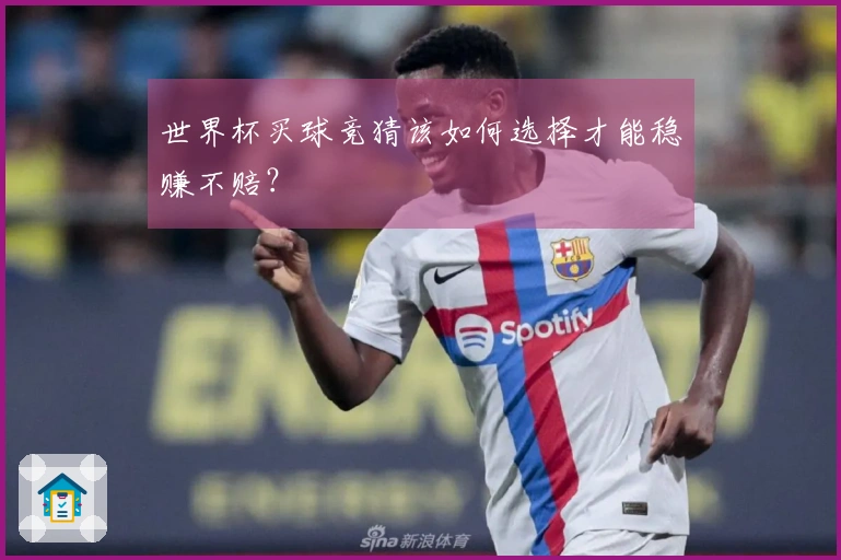 世界杯买球竞猜该如何选择才能稳赚不赔?