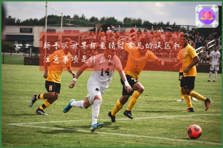 新手买世界杯竞猜时常见的误区和注意事项是什么?